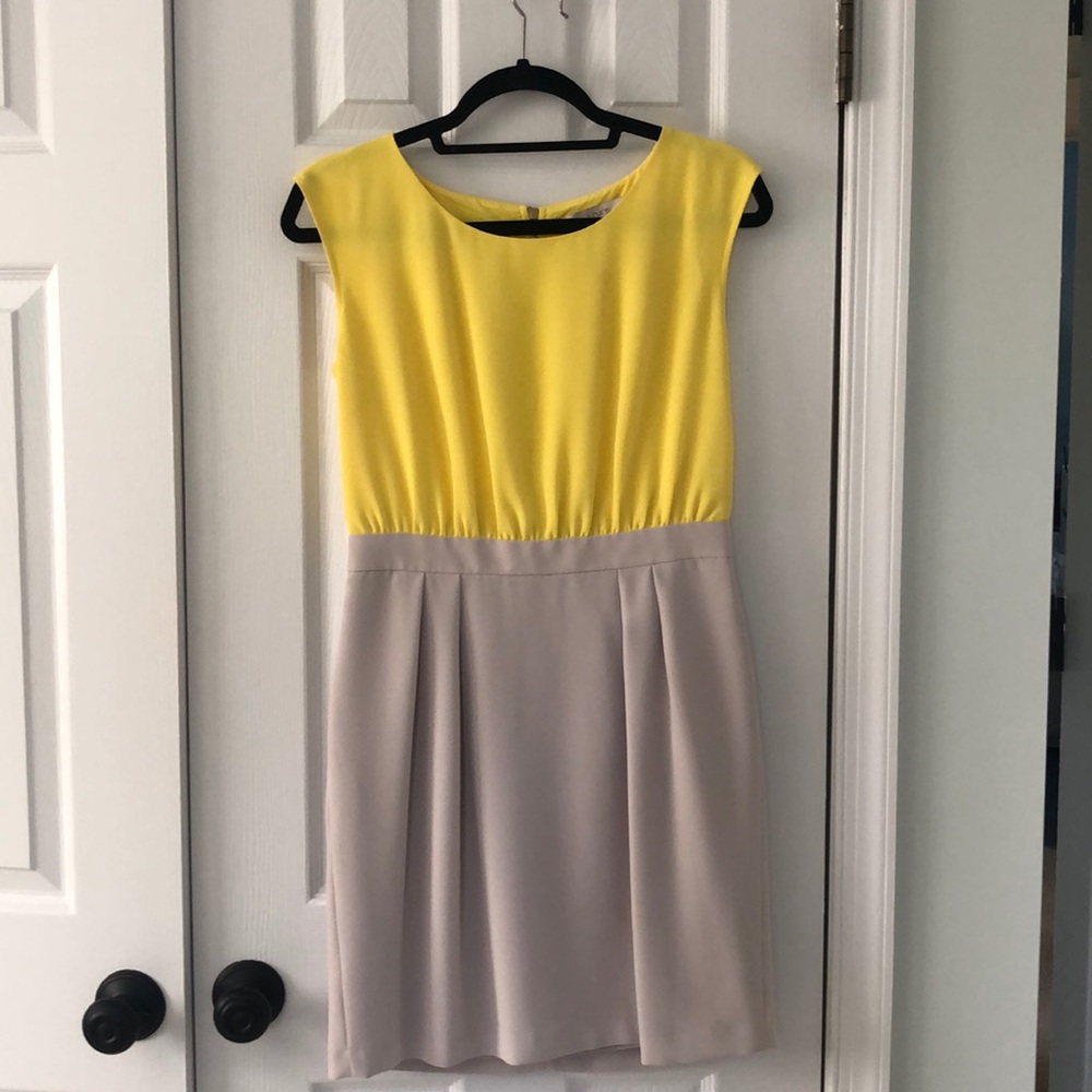 Loft colorblock Dress